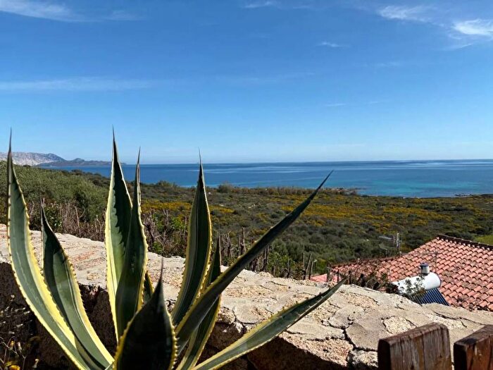 Appartamento bilocale in affitto in Località Costa Caddu, San Teodoro