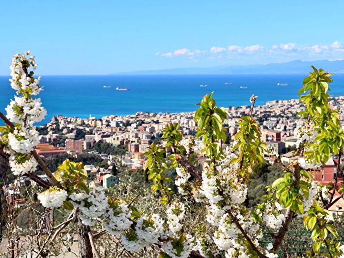 Appartamento trilocale in affitto in Quarto, Genova