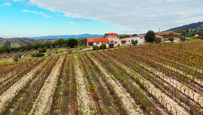 Casa con 12 locali in vendita in Via Pilli Snc, Montecchio