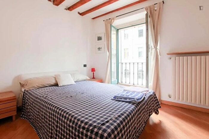 Appartamento monolocale in affitto in Via Vigevano, Milano