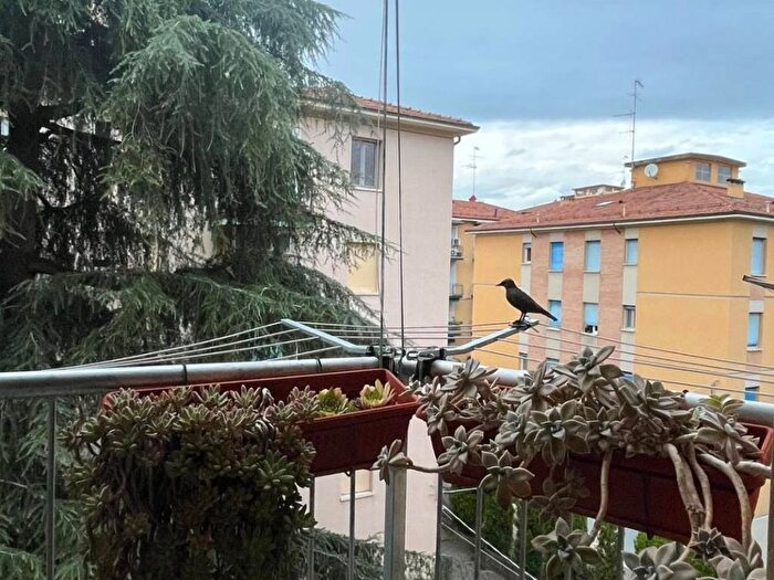 Appartamento trilocale in affitto in Via della Direttissima, San Ruffillo, Bologna