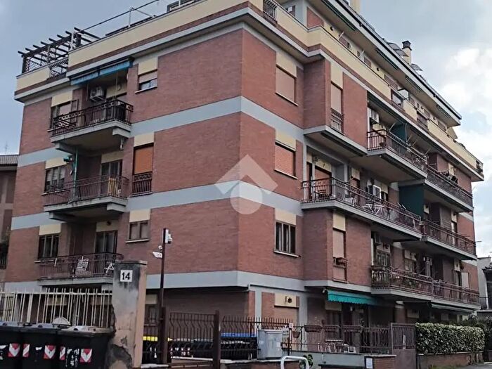 Appartamento trilocale in affitto in Appartamento Via degli Scozzesi, Marino