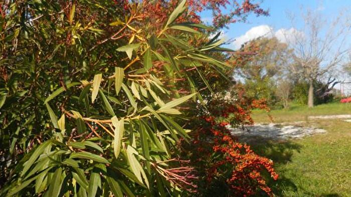 Casa con 6 locali in vendita in Via Alessandro Ghislieri, Jesi