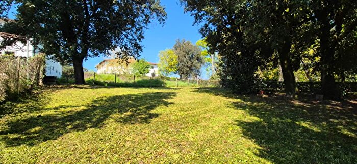 Appartamento trilocale in vendita in Borgo San Lorenzo