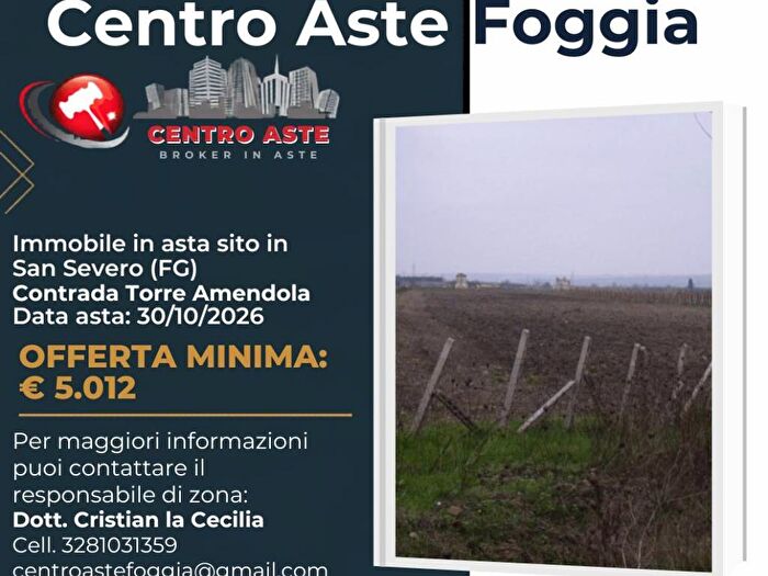 Casa in affitto in SP San Severo FG Italia, San Severo