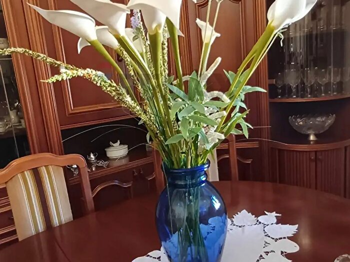 Appartamento con 6 locali in affitto in Castelfiorentino