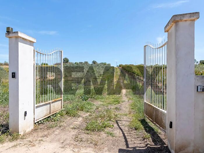 Casa quadrilocale in vendita in Contrada Bosco di Mezzo Snc, Caltagirone