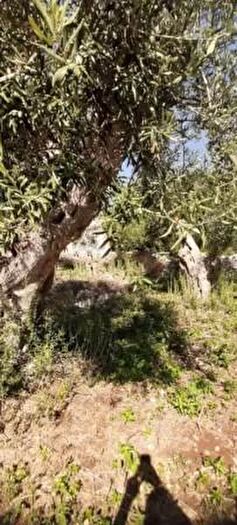Casa monolocale in vendita in Contrada Zappulla, Modica