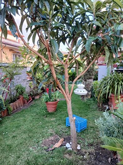 Casa con 5 locali in vendita in Via Venezia, Massa