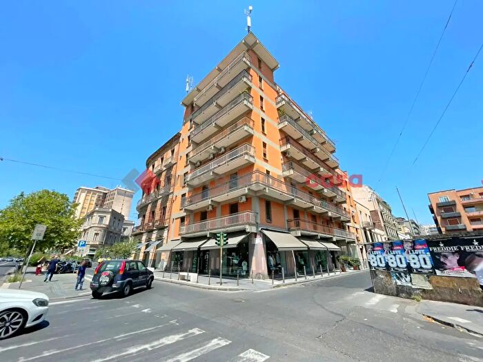 Appartamento quadrilocale in affitto in Via Martino Cilestri, Catania