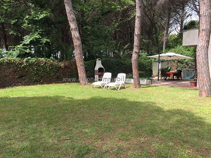 Appartamento bilocale in affitto in Rosignano Marittimo