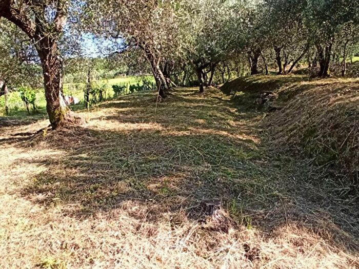Casa quadrilocale in affitto in Via della Ruga, Colle di Compito Castelvecchio, Capannori