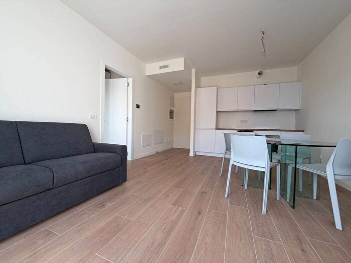 Appartamento bilocale in affitto in Via Popoli Uniti, Rovereto, Milano