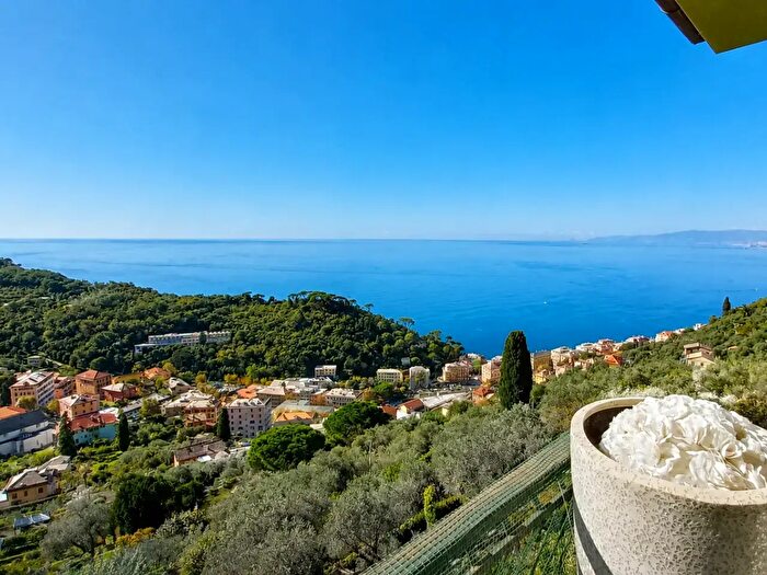 Appartamento con 11 locali in affitto in Camogli