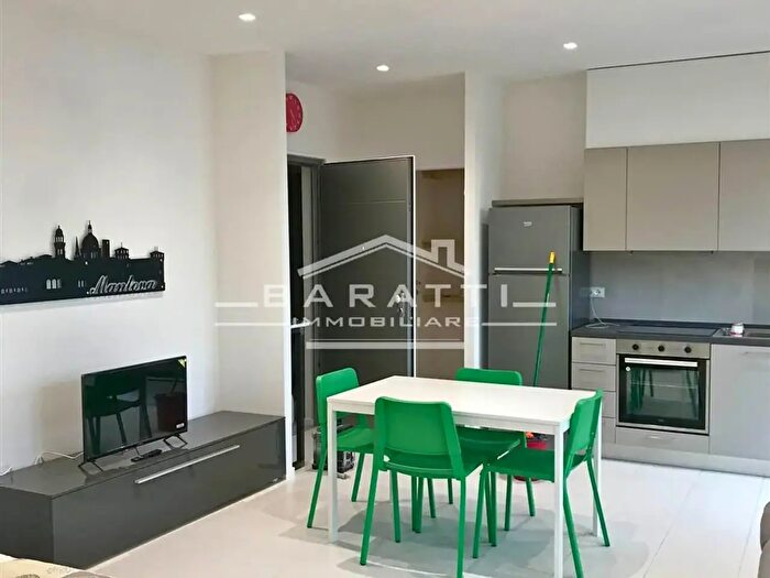 Appartamento monolocale in affitto in Mantova