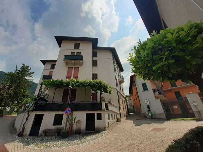 Appartamento bilocale in affitto in Zelbio
