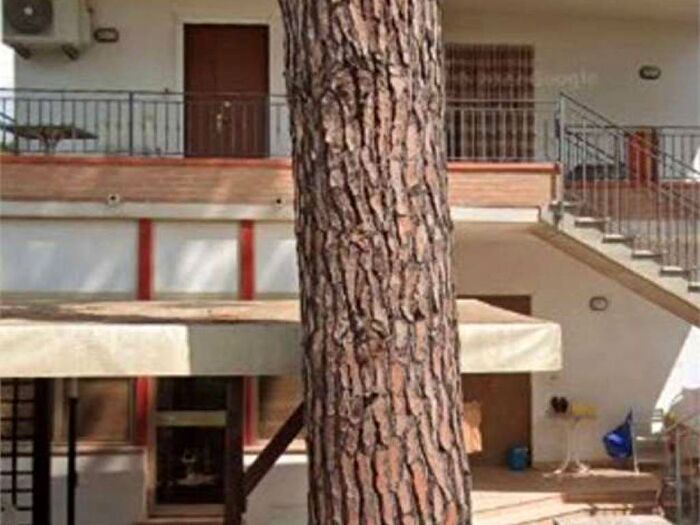 Appartamento bilocale in affitto in saturno, Centro, Cervia