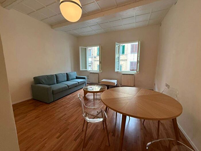 Appartamento bilocale in affitto in Borgo Ognissanti Il Prato, Firenze