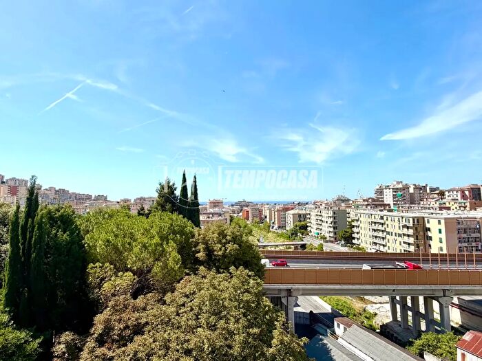 Appartamento quadrilocale in vendita in Via Sigismondo Muscola, Genova