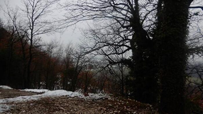 Casa con 6 locali in vendita in Piazza della Libertà, Serra San Quirico