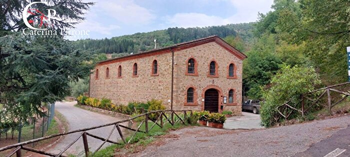 Casa con 7 locali in vendita in Frazione Dicomano Campagna, Dicomano