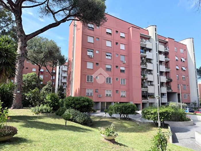 Appartamento bilocale in affitto in Via Alceste Trionfi, Tor de Schiavi, Roma