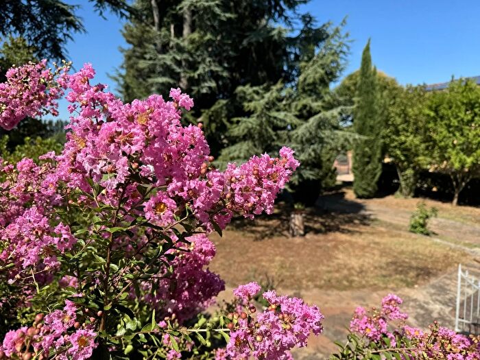 Casa con 8 locali in vendita in Suzzara