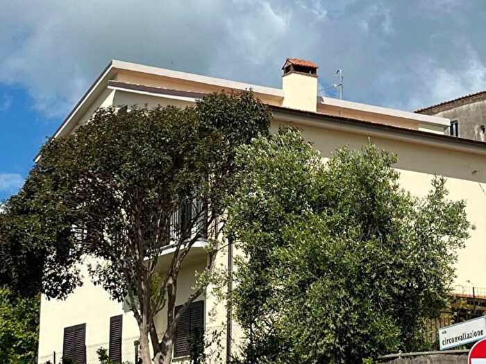 Appartamento quadrilocale in affitto in Centro, Capalbio