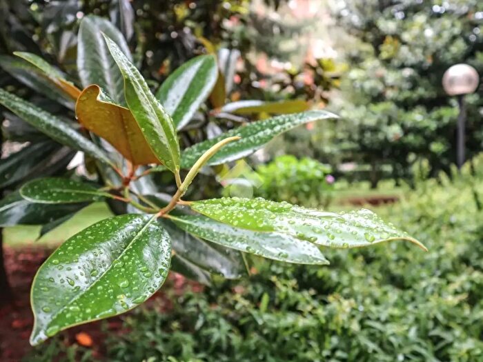 Appartamento bilocale in affitto in Via Privata Belgirate, Milano