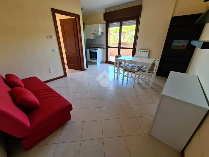 Appartamento bilocale in affitto in Roma