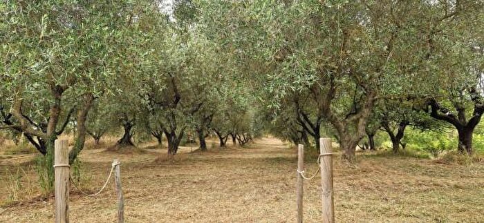 Casa con 6 locali in vendita in Località Corano, Pitigliano