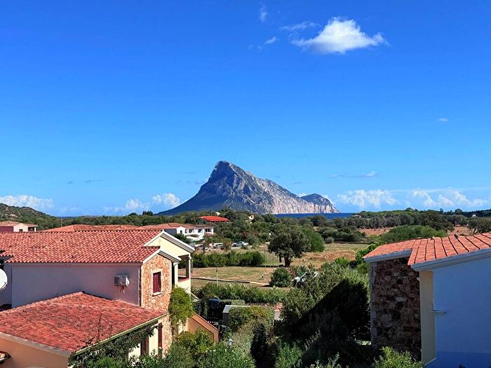 Appartamento trilocale in affitto in Via delle Querce, Loiri Porto San Paolo