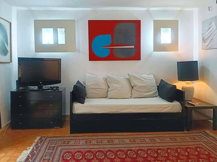 Appartamento monolocale in affitto in Via David Silvagni, Monteverde Vecchio, Roma