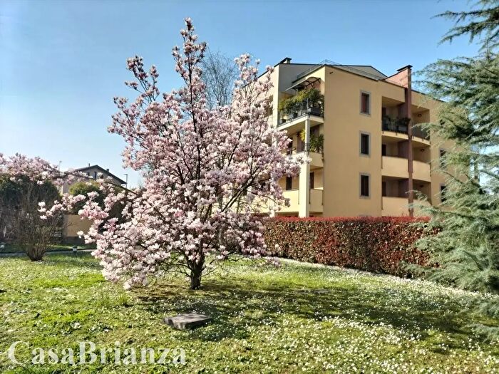 Appartamento bilocale in affitto in Biassono