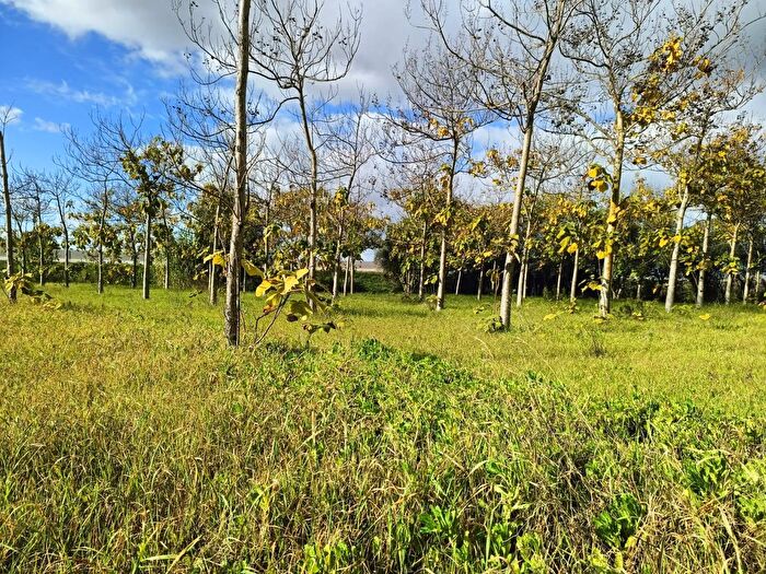 Casa bilocale in vendita in Località Nuracesus, Nuraminis