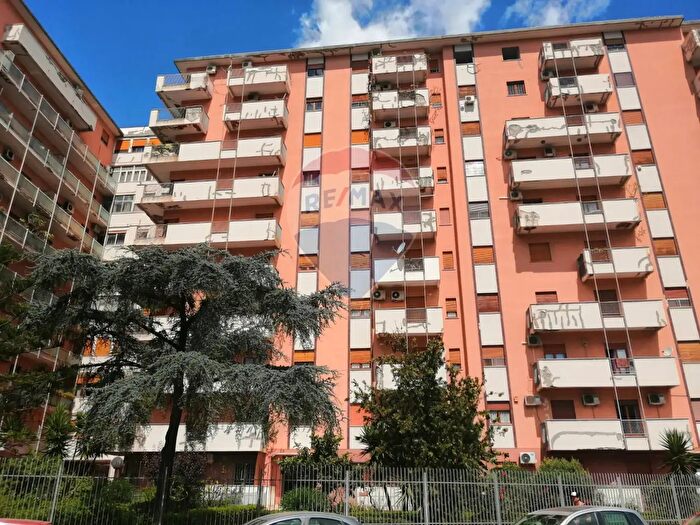 Appartamento quadrilocale in affitto in Viale Regione Siciliana Nord Ovest, Palermo