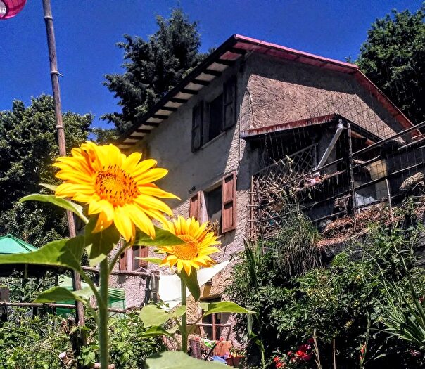 Casa trilocale in vendita in Stazzema