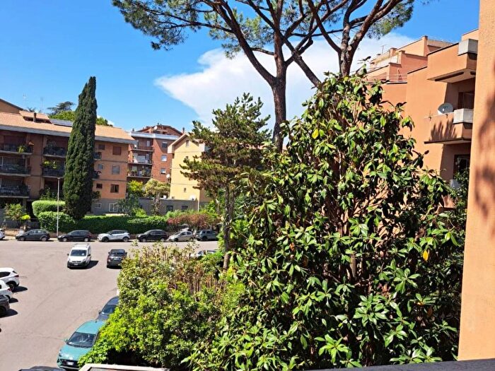 Appartamento bilocale in affitto in Via Giuseppe Mussi, Nuovo Salario, Roma