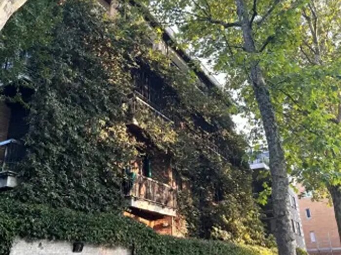 Appartamento trilocale in affitto in Viale Federico Caprilli, Milano