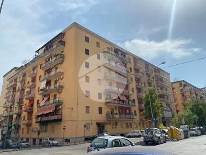 Appartamento bilocale in affitto in Via Sebastiano La Franca, Palermo