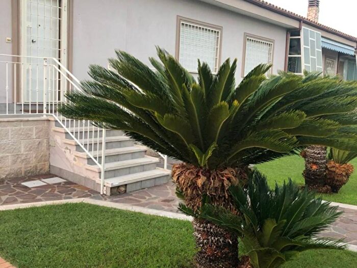 Casa quadrilocale in affitto in Via Selci, Cioccati Zucchetti, Nettuno