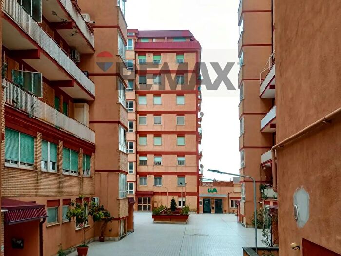 Appartamento con 6 locali in affitto in Frosinone