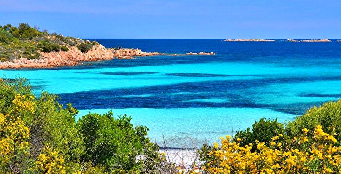 Appartamento bilocale in affitto in Via Sa Tazza, Porto Rotondo, Olbia