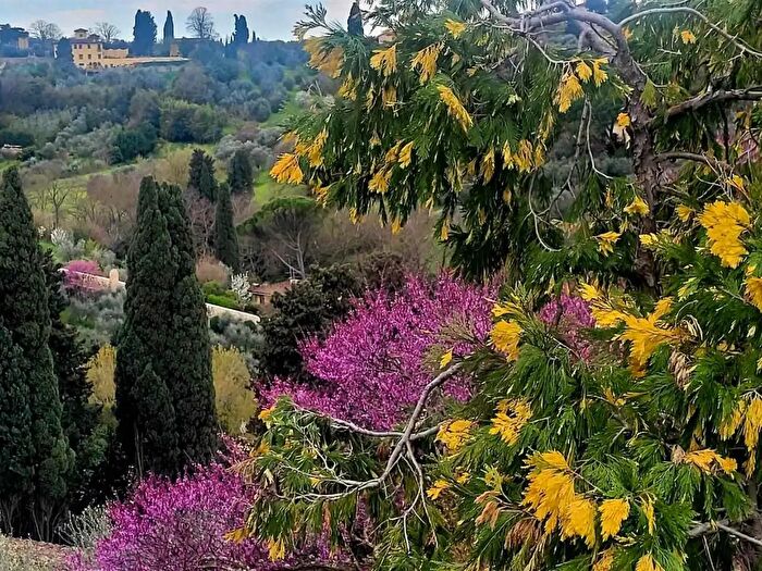 Casa con 7 locali in vendita in Firenze