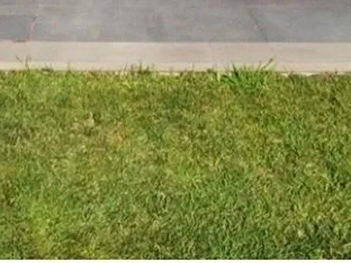 Appartamento bilocale in vendita in Sarzana