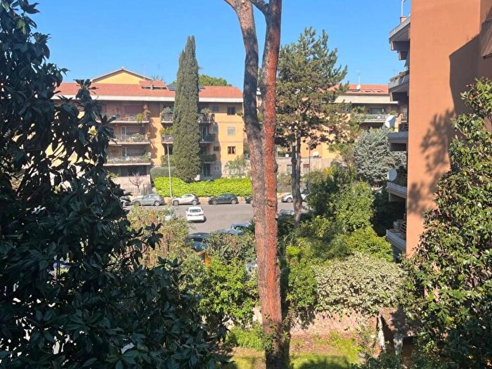 Appartamento bilocale in affitto in Via Giuseppe Mussi, Nuovo Salario, Roma