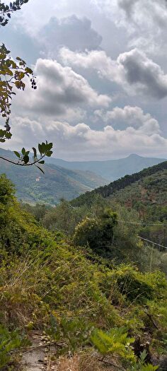 Casa con 7 locali in vendita in Calci