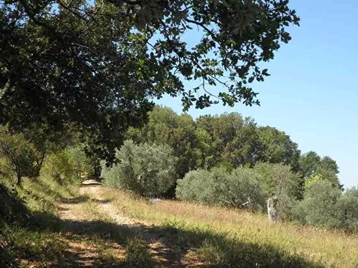 Casa in vendita in Castellina Marittima
