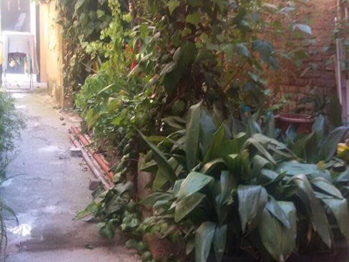 Appartamento monolocale in affitto in Irnerio, Bologna