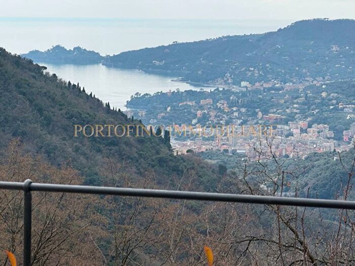 Appartamento con 5 locali in affitto in Località Arenella, Centro, Zoagli